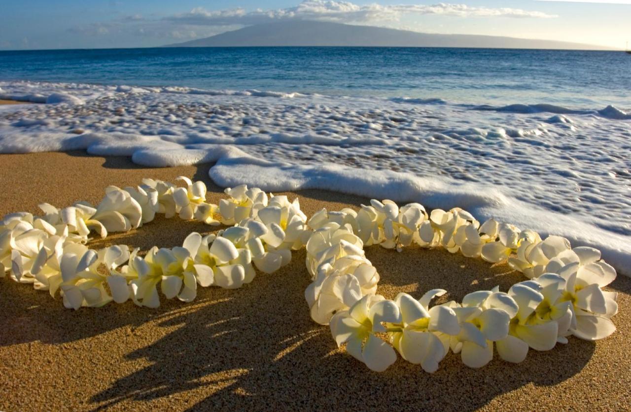 Steps To Waikiki Beach! Newly Renovated With 75" Tv Гонолулу Экстерьер фото